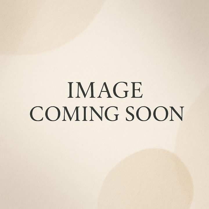 Perfume & Cologne 5 ml Mini EDP Bvlgari Man In Black Mini EDP By Bvlgari Brand