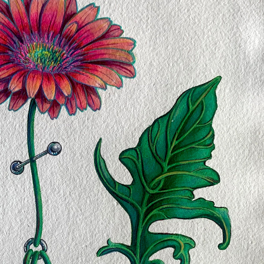 Silviya Neri Painting Silviya Neri Artist Gerbera Botanical Handmade Illustration Silviya Neri: Artist Gerbera Botanical Handmade Illustration Brand